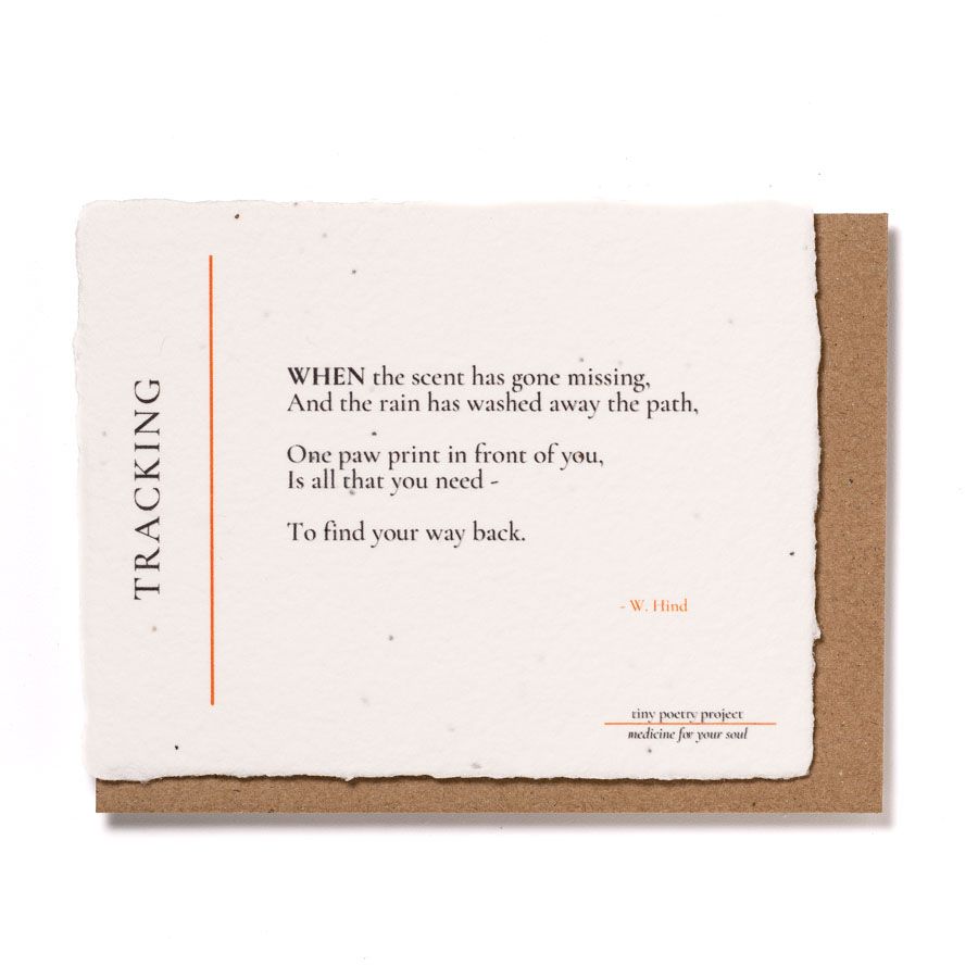 Tracking: Plantable Wildflower Greeting Card