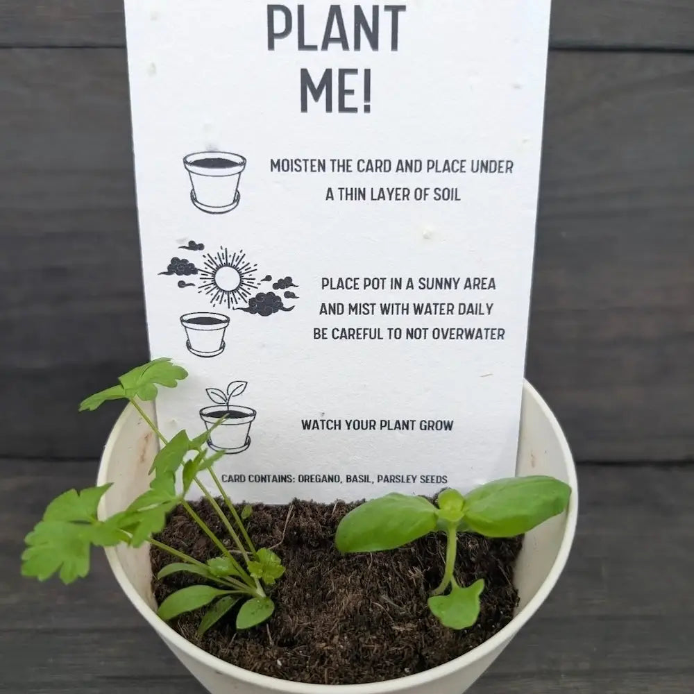 Thank You: Plantable Herb Seeded Card